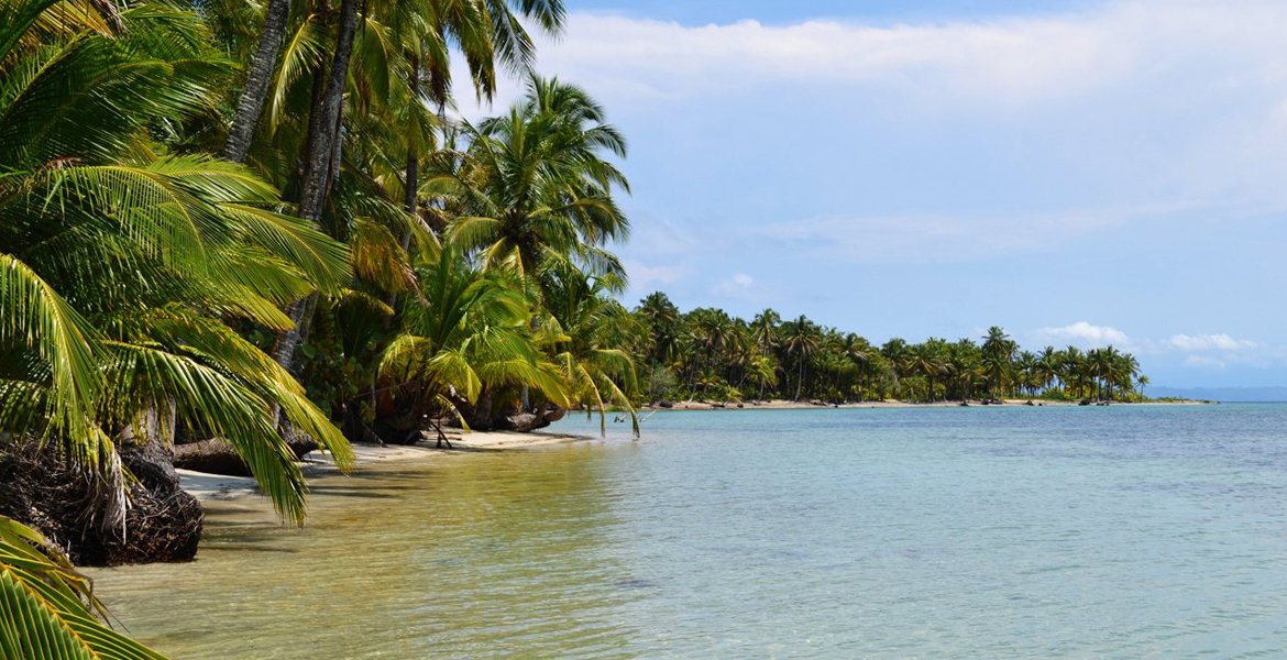 Bird Island Boca Del Drago And Star Beach Expedition