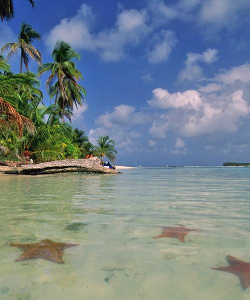 Bird Island Boca Del Drago And Star Beach Expedition