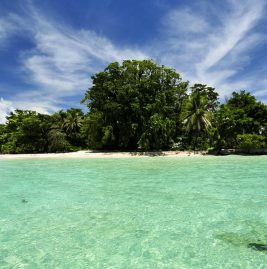 Bocas del Toro