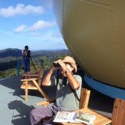 Canopy Tower View