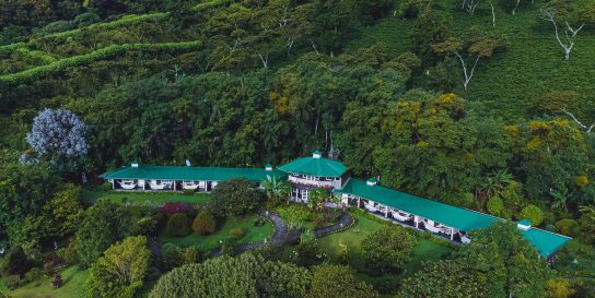 Finca Lerida Coffee Estate