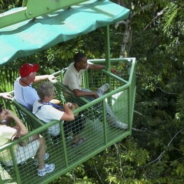 Fahrt mit der Seilbahn durch den Regenwald