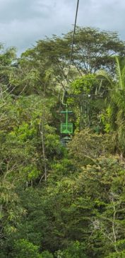 Fahrt mit der Seilbahn durch den Regenwald