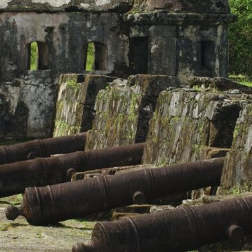 Portobelo en tren