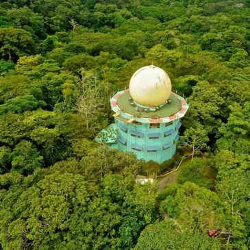 Avistamiento de aves en Panamá 7 noches/8 días