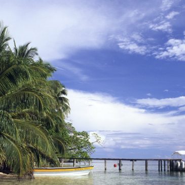 Caribbean Scape