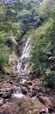 Expedicion en el Valle de Antón