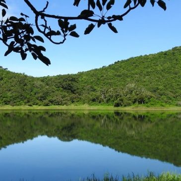 Reserva Natural Finca Ceriana