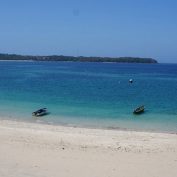 Tour de un día Isla Contadora