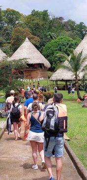 Jungle And Beach