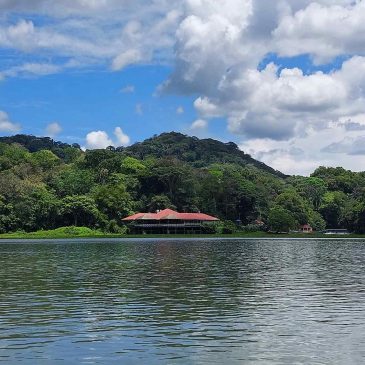 Gatun lake View