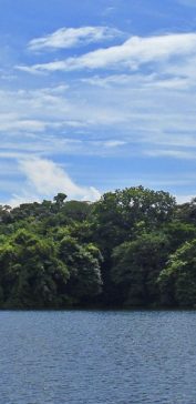 Gatun Lake Expedition