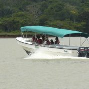 Expedition zum Gatun-See