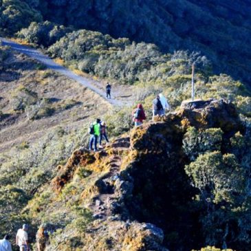 Parque Nacional Volcán Barú