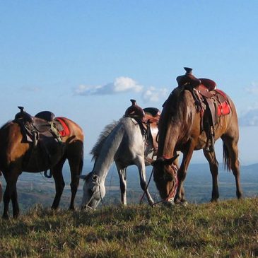 Paseo a Caballo