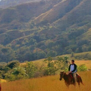 Horseback Riding