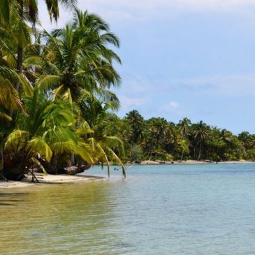 Ausflug zur Vogelinsel, zur Bocas del Drago Bucht und zum Strand der Seesterne (Playa Estrella)