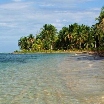 Ausflug zur Vogelinsel, zur Bocas del Drago Bucht und zum Strand der Seesterne (Playa Estrella)