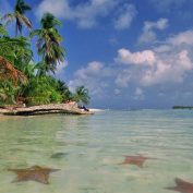 Bird Island, Star Beach Expedition