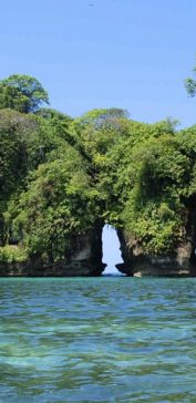 Ausflug zur Vogelinsel, zur Bocas del Drago Bucht und zum Strand der Seesterne (Playa Estrella)