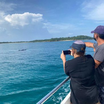 Tour de un día Isla Contadora