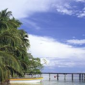 Tagesausflug in den Marine Naturpark Bocas del Toro