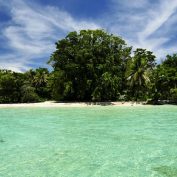 Expedición Bahía Los Delfines, Cayo Coral y Zapatilla