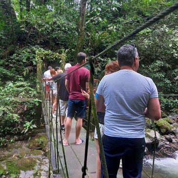 Aventura en el bosque