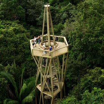 Das Panama Regenwald-Beobachtungszentrum