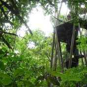 Panama Rainforest Discovery Center