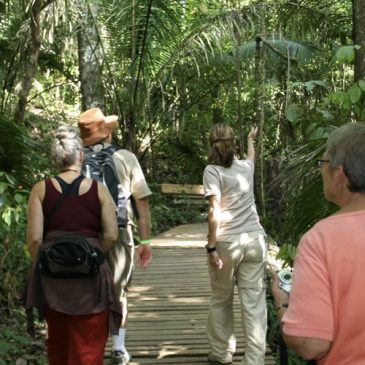 Das Panama Regenwald-Beobachtungszentrum