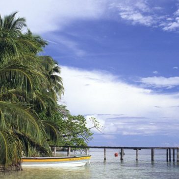 Dolphins Bay, Crawl Cay, Red Frog Beach