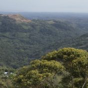 El Valle De Anton & Canopy