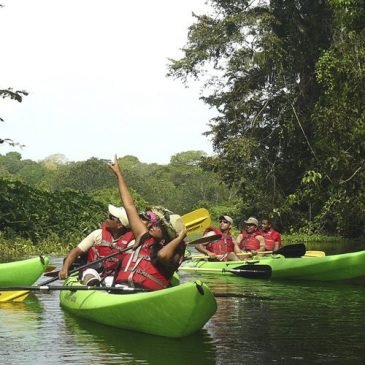 Kakaking en el Rio Chagres