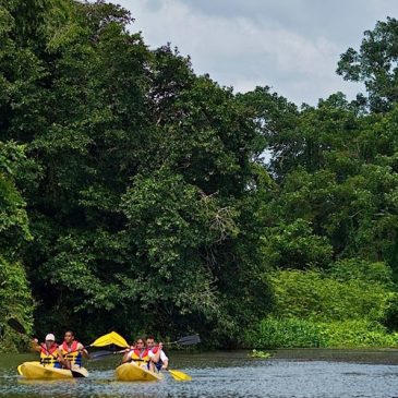 Kajak fahren auf dem Chagres Fluss