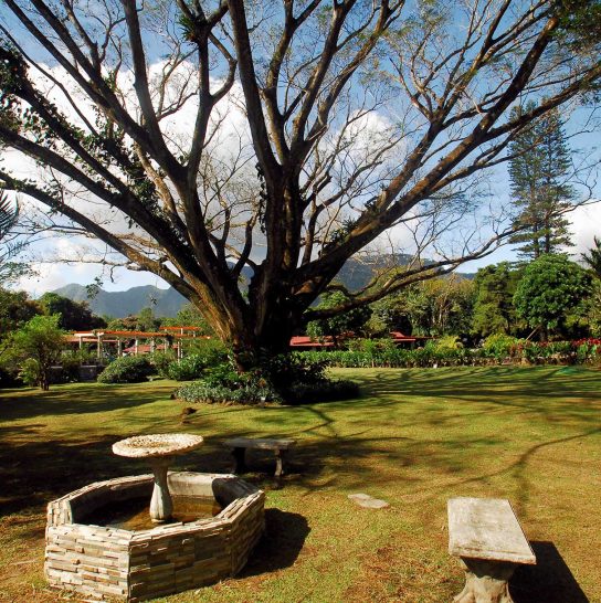 Hotel Crater Valley 