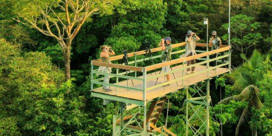 Tranquilo Bay Eco Adventure Lodge 